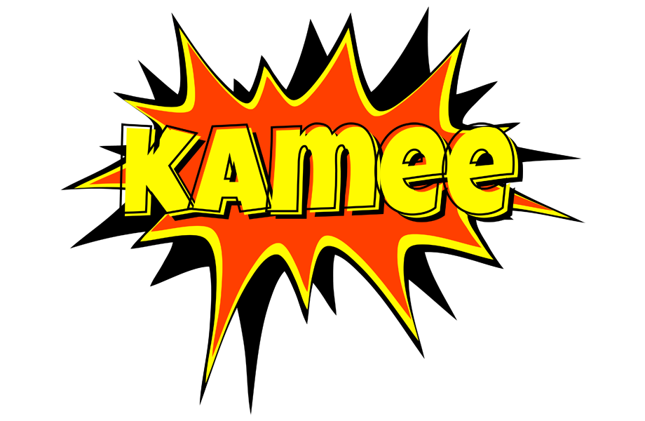 Kamee bazinga logo