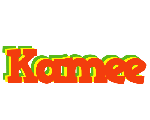 Kamee bbq logo