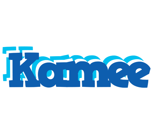 Kamee business logo