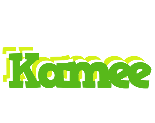 Kamee picnic logo