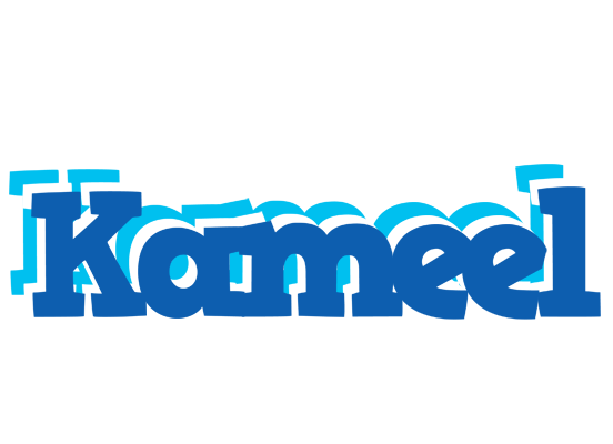 Kameel business logo