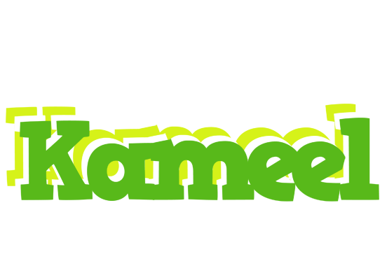 Kameel picnic logo