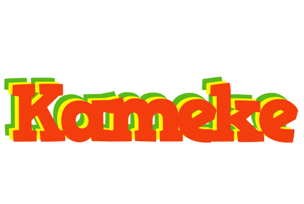 Kameke bbq logo