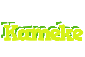 Kameke citrus logo