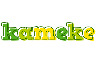 Kameke juice logo