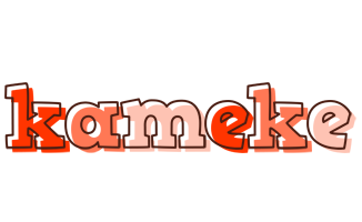 Kameke paint logo