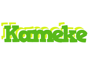 Kameke picnic logo