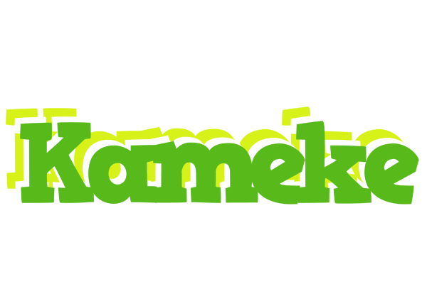 Kameke picnic logo