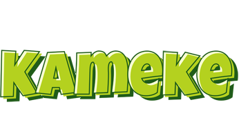 Kameke summer logo