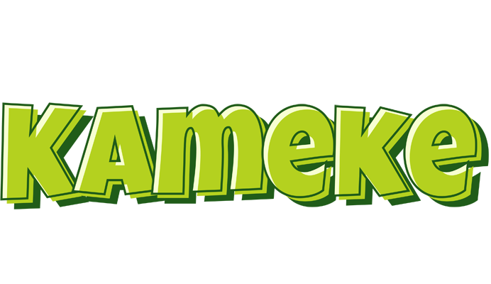 Kameke summer logo