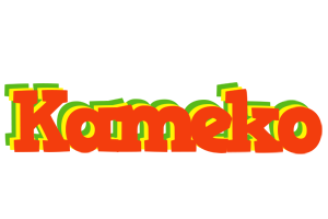 Kameko bbq logo