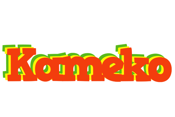 Kameko bbq logo