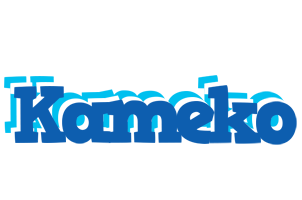 Kameko business logo