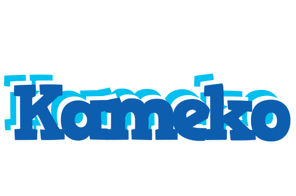Kameko business logo