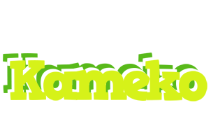 Kameko citrus logo
