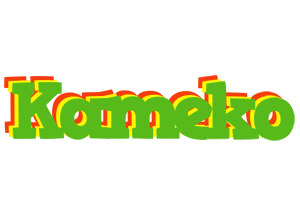 Kameko crocodile logo