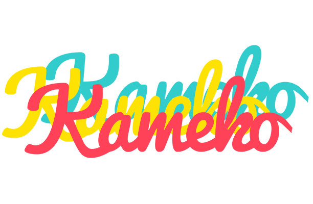 Kameko disco logo