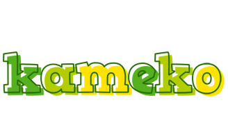 Kameko juice logo