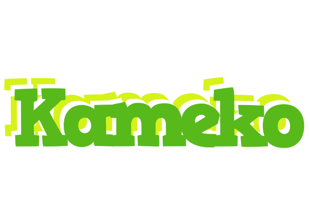 Kameko picnic logo