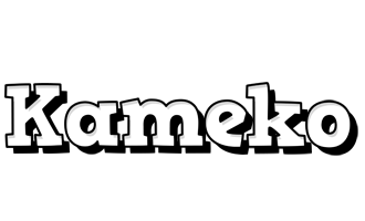 Kameko snowing logo