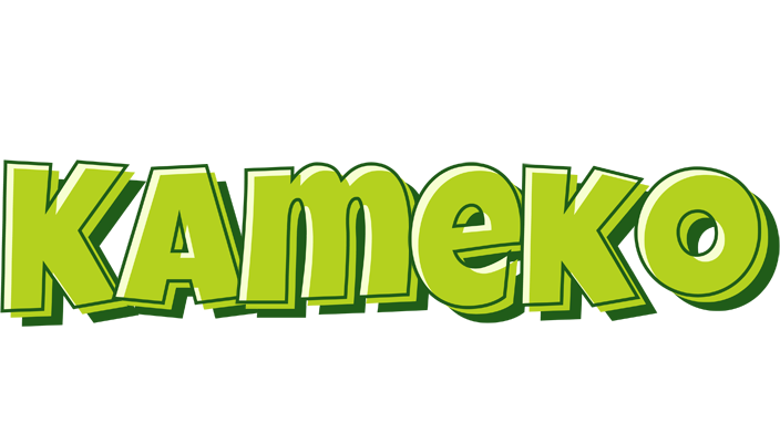 Kameko summer logo