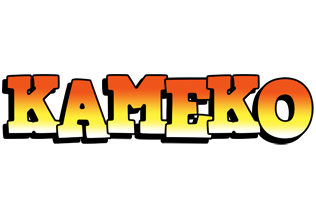 Kameko sunset logo