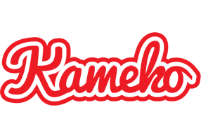 Kameko sunshine logo