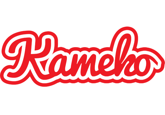 Kameko sunshine logo