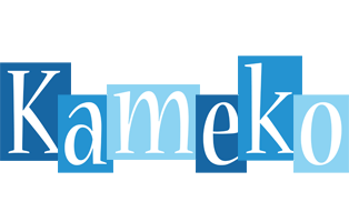 Kameko winter logo