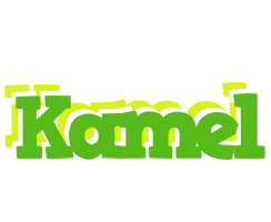 Kamel picnic logo