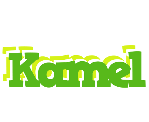 Kamel picnic logo