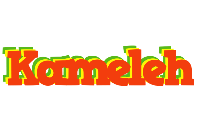 Kameleh bbq logo