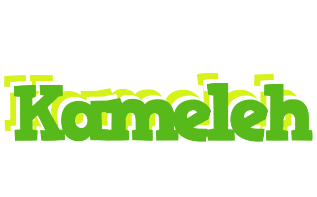 Kameleh picnic logo