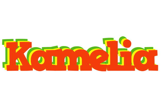 Kamelia bbq logo