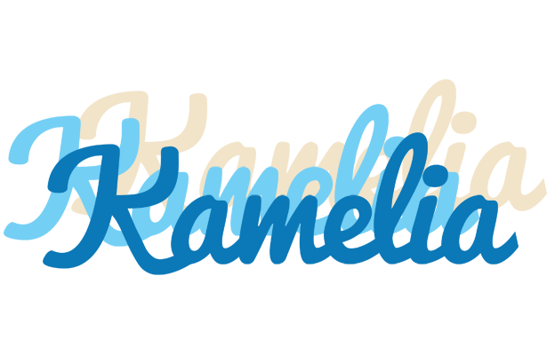 Kamelia breeze logo