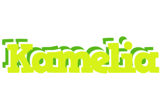 Kamelia citrus logo