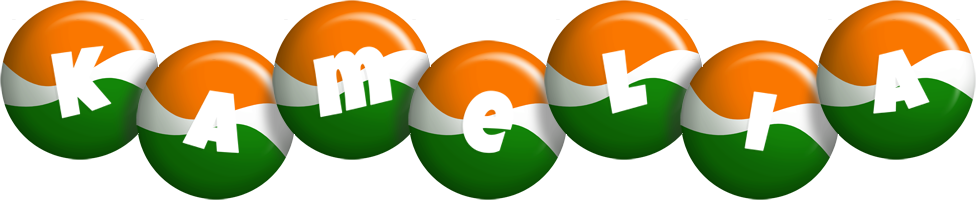 Kamelia india logo