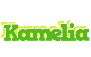 Kamelia picnic logo