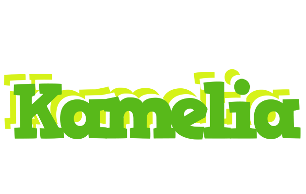 Kamelia picnic logo