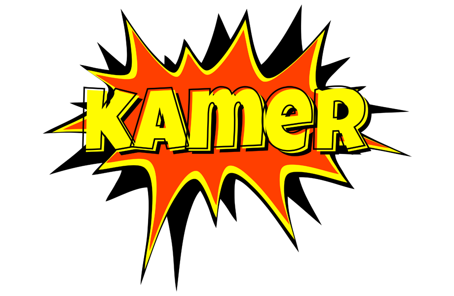 Kamer bazinga logo