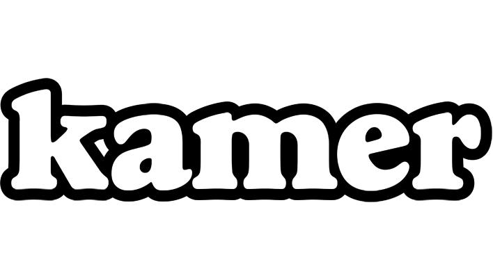 Kamer panda logo