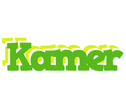 Kamer picnic logo