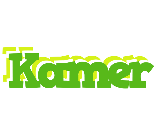 Kamer picnic logo