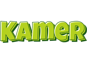 Kamer summer logo