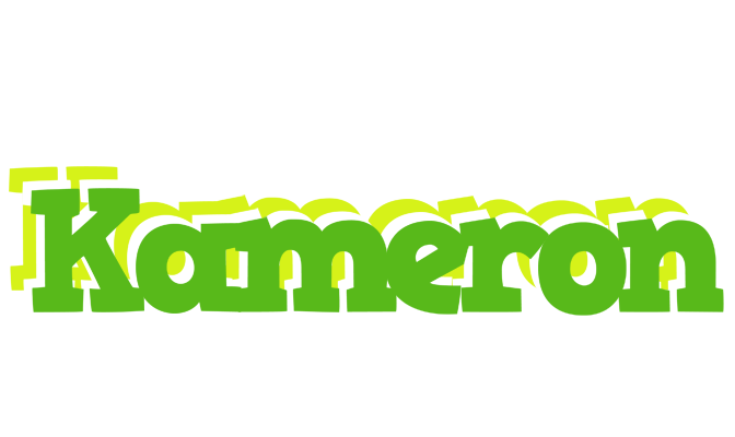 Kameron picnic logo