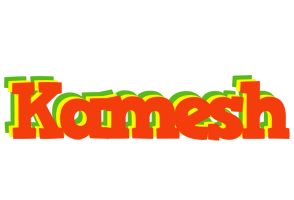 Kamesh bbq logo