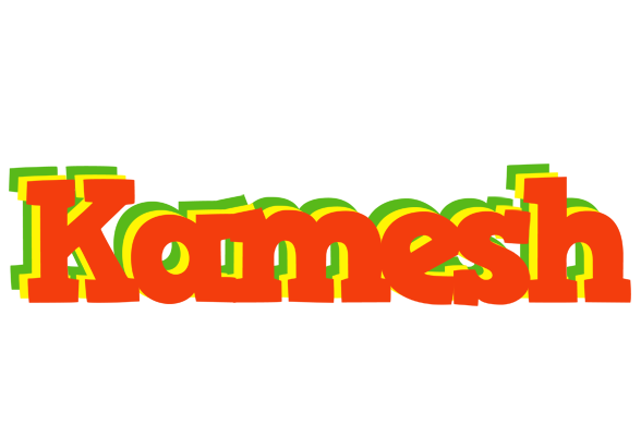 Kamesh bbq logo