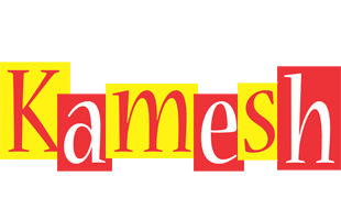 Kamesh errors logo