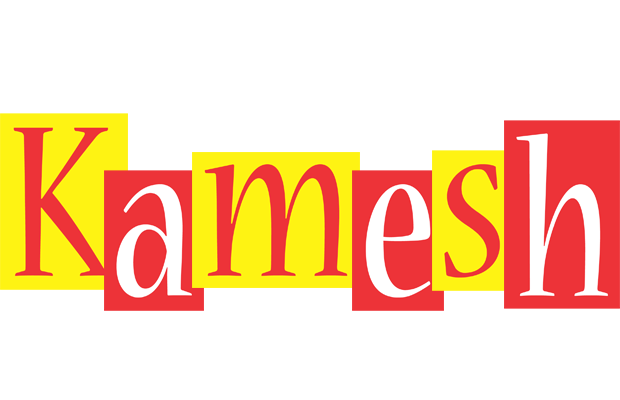 Kamesh errors logo