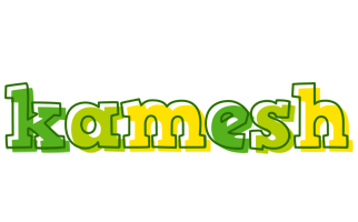 Kamesh juice logo